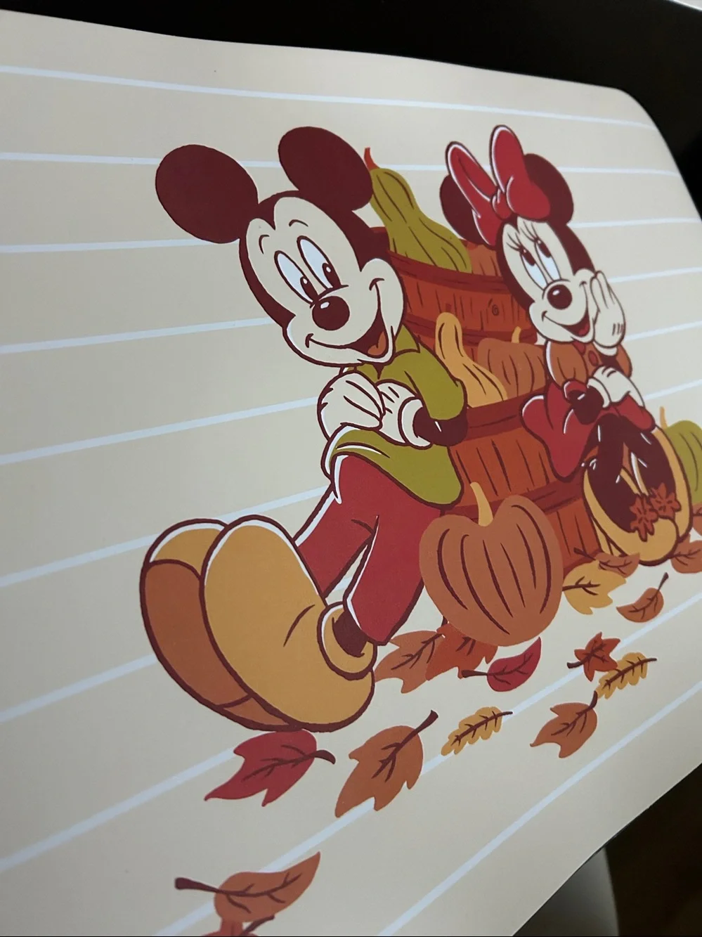 NWT Disney's Mickey and Minnie Rigid Placemats Celebrate Together™ Fall